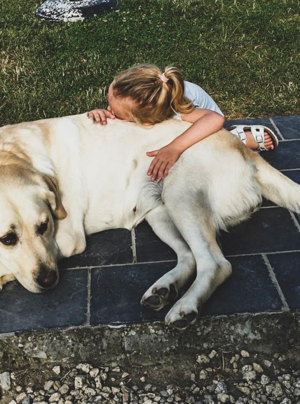 Blond meisje met labrador Een klein blond meisje die buiten met een labrador in het gras ligt.