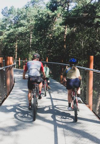 Fietsers die op een brug fietsen tussen de bossen. 