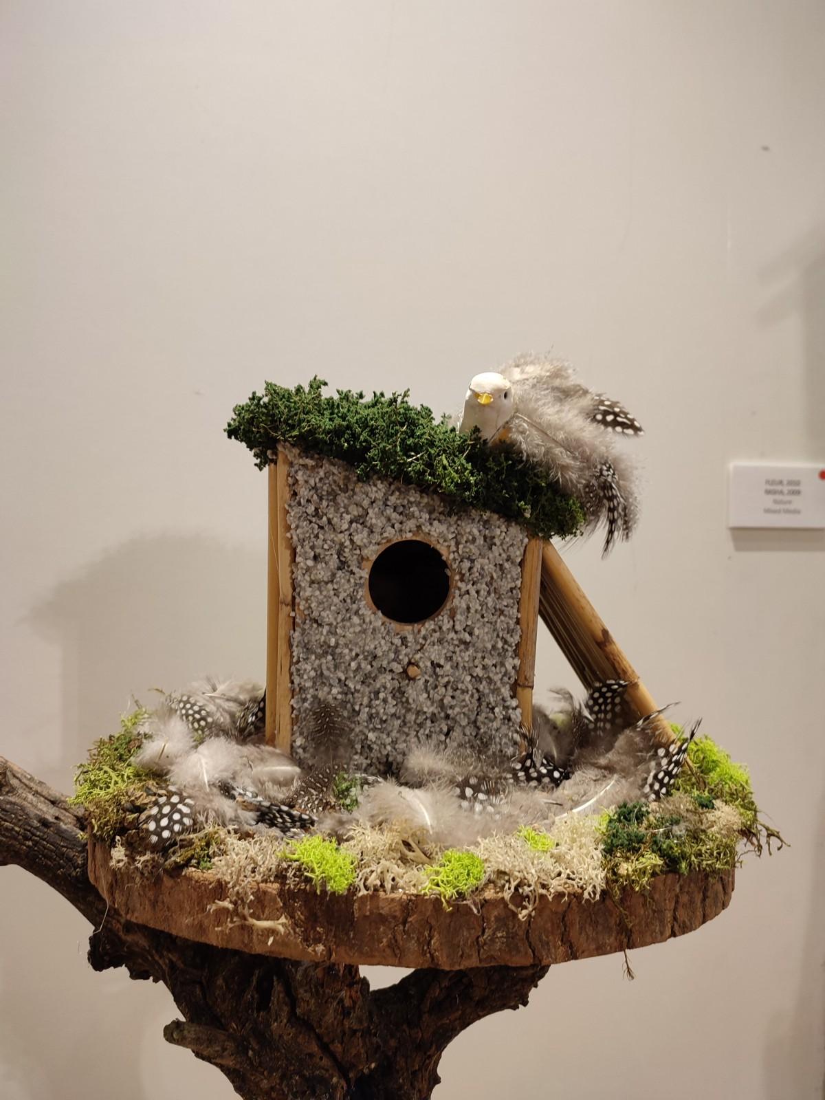 Tentoonstelling birds van verschillende vogelhuisjes. 